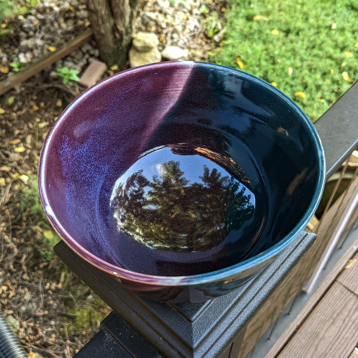 Viola Sororia - Medium Bowl