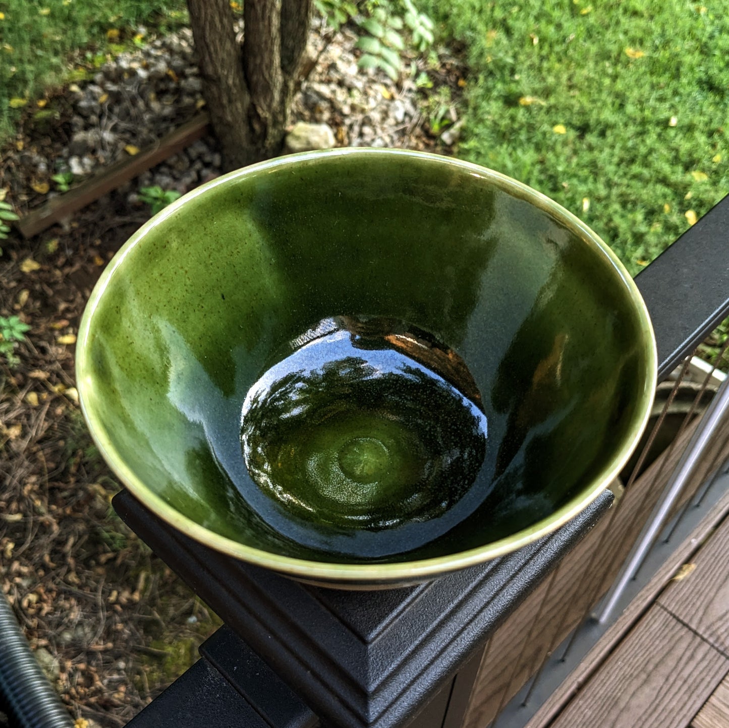 Mangrove - Medium Bowl
