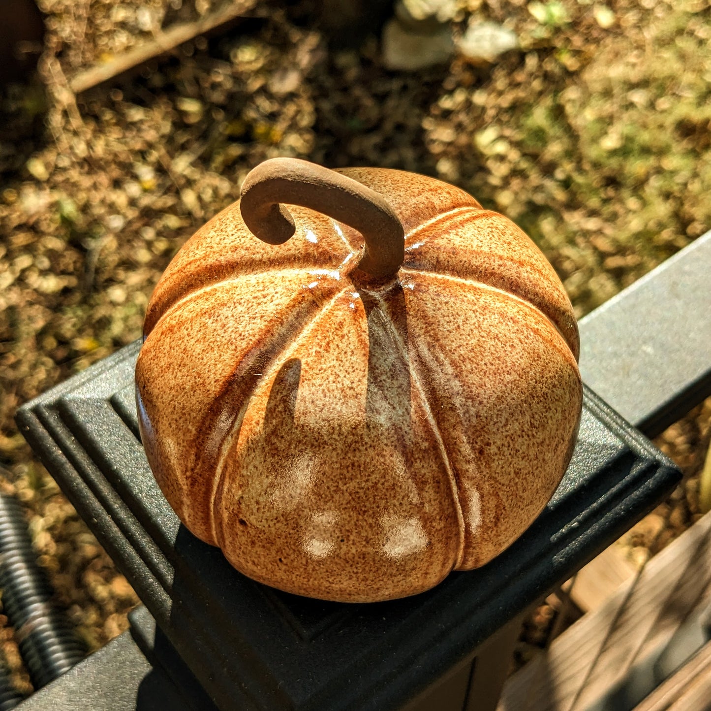 Small Autumn Pumpkin