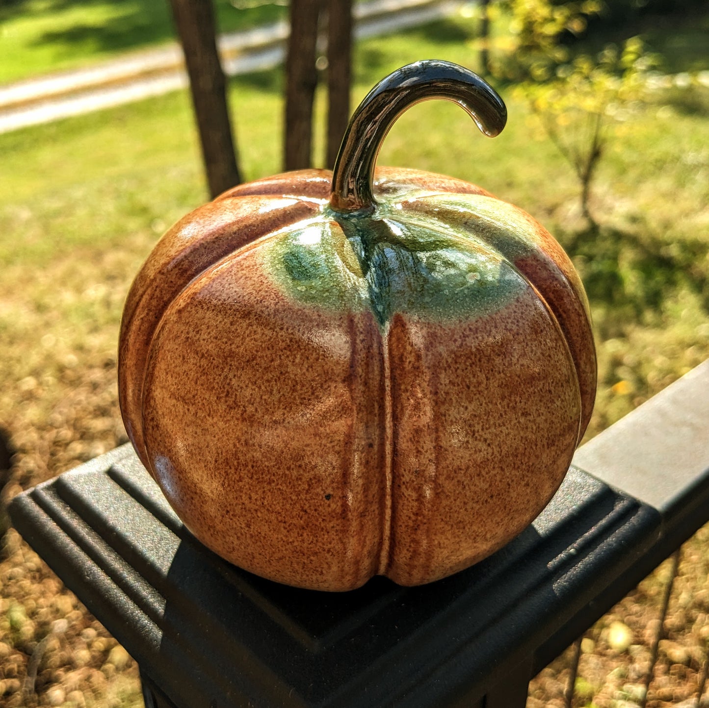 Medium Autumn Pumpkin