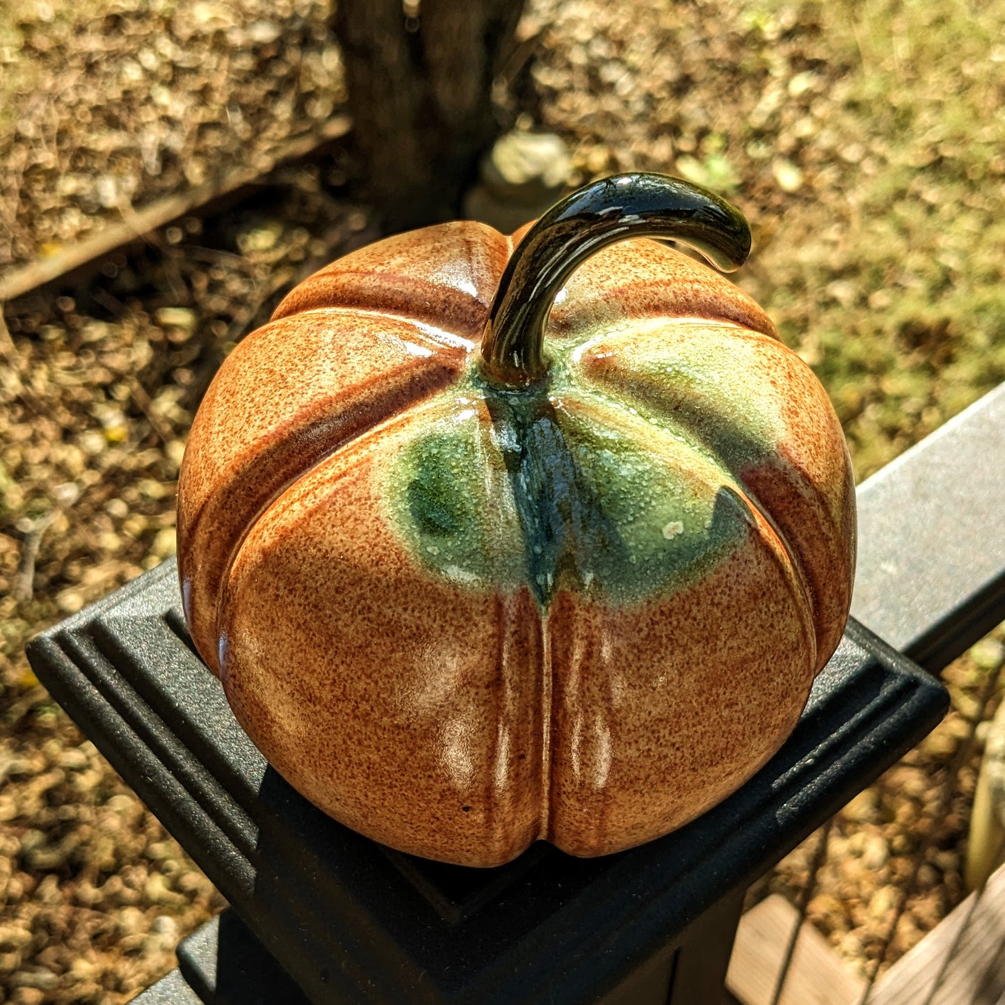 Medium Autumn Pumpkin