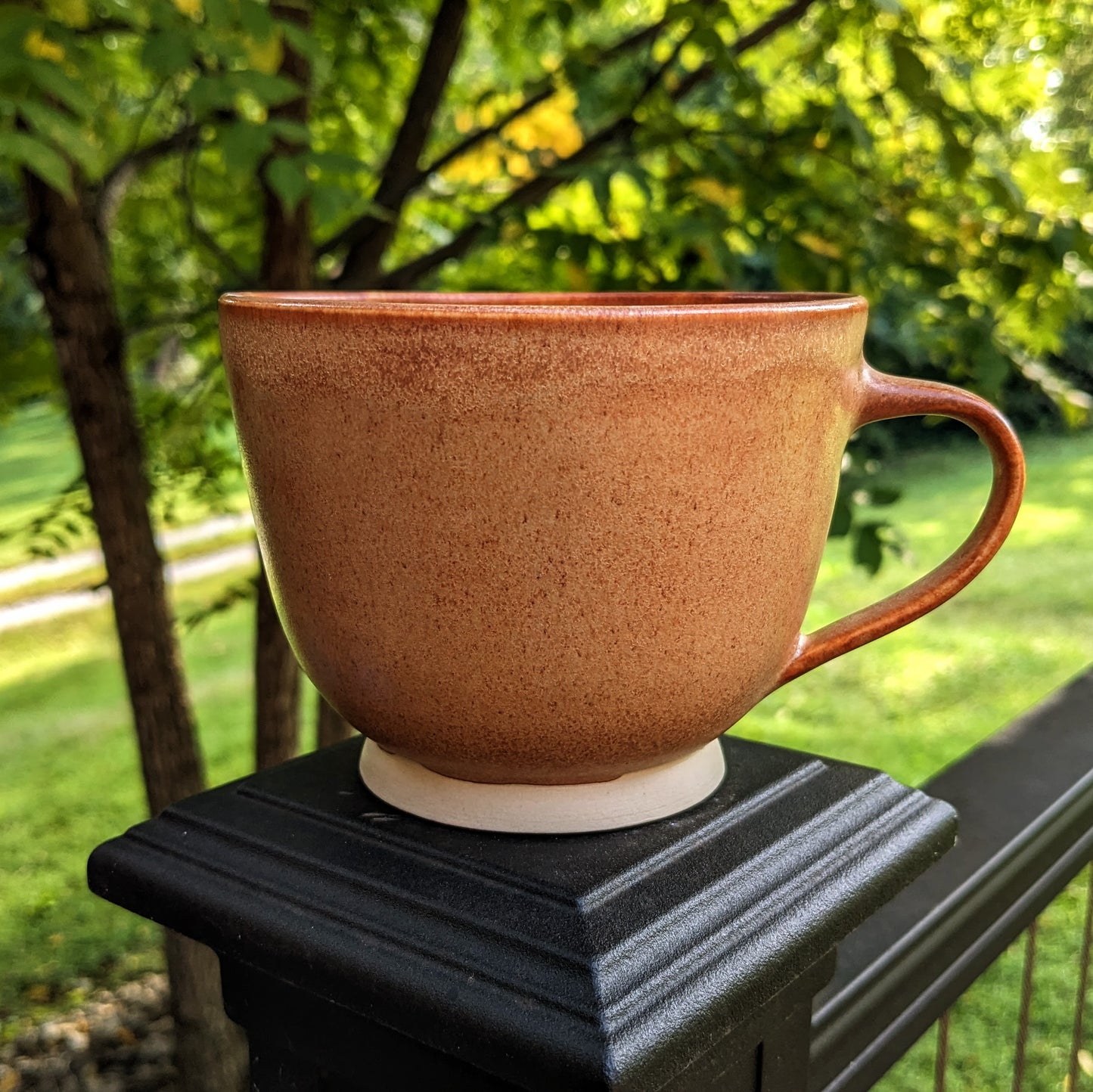 Biscotti - Soup Mug