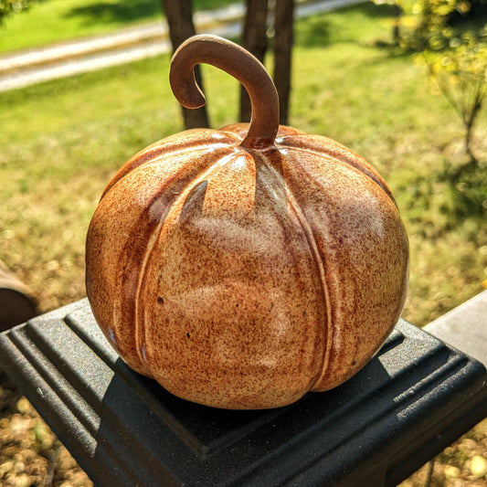 Small Autumn Pumpkin