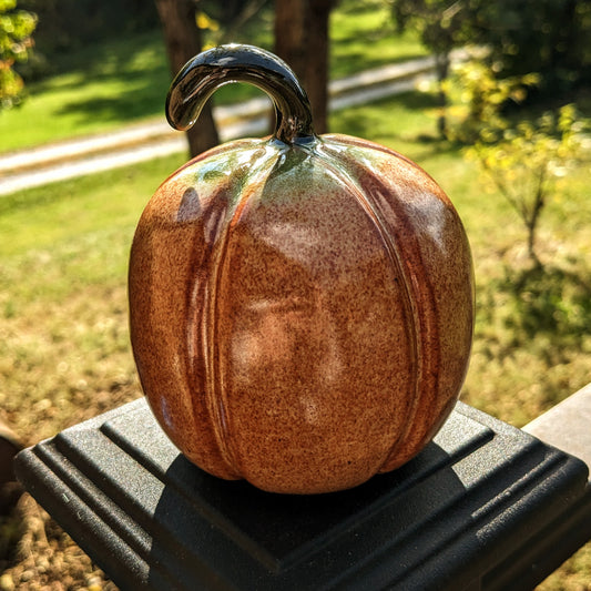 Medium Autumn Pumpkin